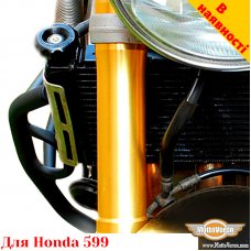 Honda 599 (98-06) защитные дуги